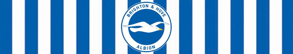 Brighton and Hove Albion banner