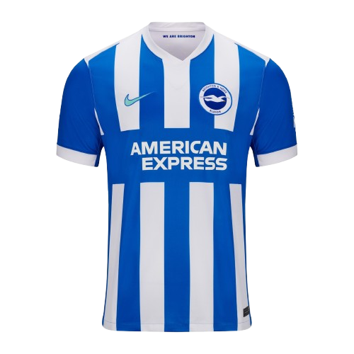 Brighton and Hove Albion kit