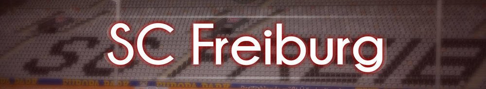 Freiburg banner