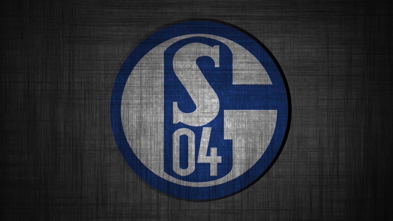 Schalke 04 fans