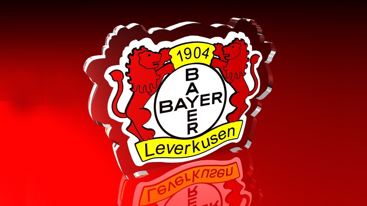 Bayer Leverkusen fans