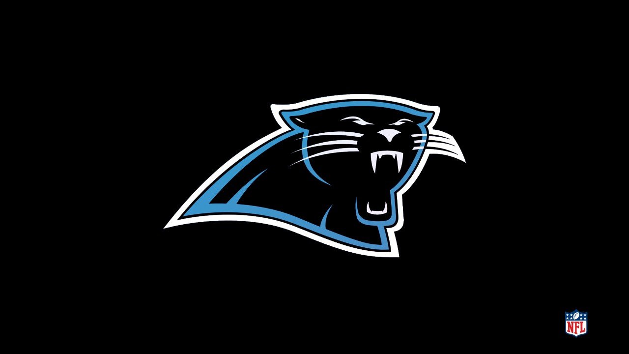 Carolina Panthers fans