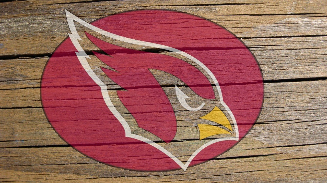 Arizona Cardinals fans