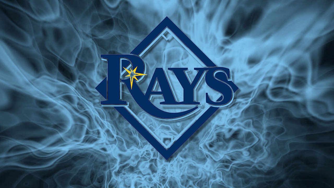 Tampa Bay Rays fans