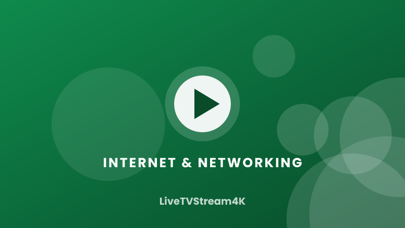 Bandwidth for Multiple Devices: Planning a Streaming Household — VPN & Privacy illustration